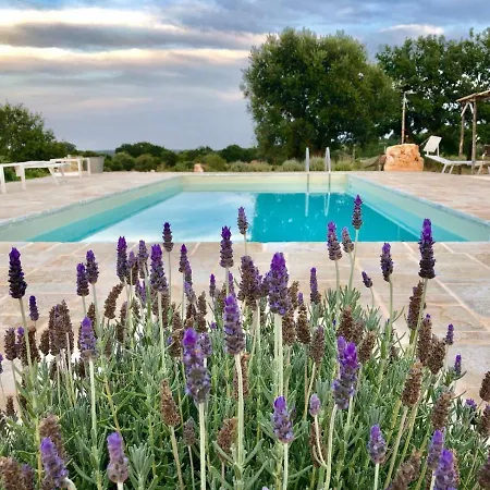 Trullo Laisa Отель типа 